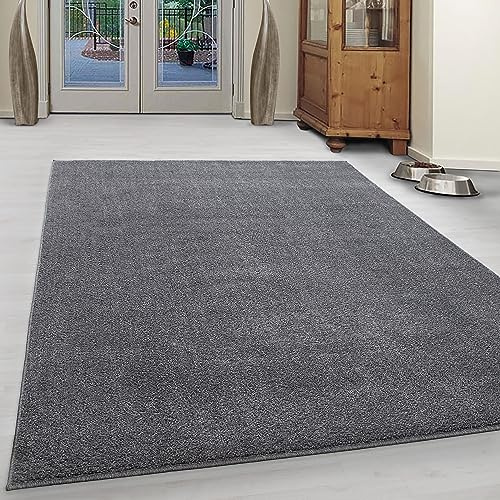 KADIMA DESIGN Teppich Kurzflor Unifarben Elegant Pflegeleicht Modern Waschbar Strapazierfähig Langlebig Hellgrau 80x150 cm Wohnzimmer Esszimmer Oeko-TEX Zertifiziert | Main
