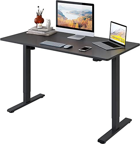FLEXISPOT EG1 Standing Desk 120 x 80 x (73-123 cm) Electric Height Adjustable 2 Tier with Single Motor, Home Office, 2 Button Panel (Black Frame+Black Tray)