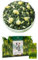 Thé au Jasmin. Thé Vert de Chine Aromatisé aux Pétales de Jasmin. Infusion d'herbes, Goût Frais, Feuilles en Vrac, Origine 100% Pure, 1ère Grade Torréfiée –25 Sachets de 5g–(125g).