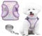 PawSailor No Pull Dog Harness and Leash Set, Step-in Floral Print Adjustable Breathable Mesh Pet Harness, Reflective Soft Padded Dog Vest for Small Dogs Lavender XXS