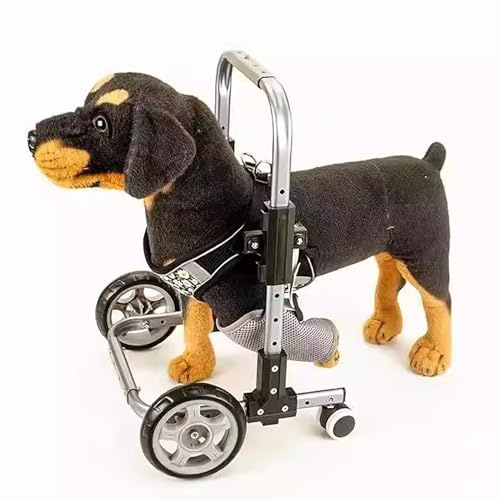 Oracra Hunderollstuhl Rollstuhl für Kleine Hunde Zur Unterstützung Der Vorderbeine Verstellbarer Gehwagen für Behinderte Hunde 2-rädrige Gehhilfe für Hunde Mit Arthritis(Medium - 12kg (26.4lbs))