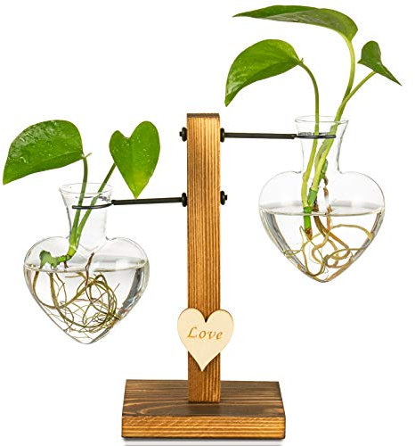 Kingbuy Hydrokultur-Glasvase Vintage Desktop Pflanzen Terrarium Pflanzgefäß Blumenvase Wasserpflanzen Anzuchtvase Waage Pflanzgefäße Hydrokultur mit Retro Holzständer Home Garden Heart （2 Bulb Vase）