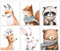6 Stück Tier Leinwand Wandkunst, Niedliche Tier-Leinwand-Kunst-Wanddekoration Hirsch Bär Kaninchen Fuchs Eichhörnchen, Waschbär Tier Poster Kinderzimmer Ungerahmt, 20,32 x 25,4cm