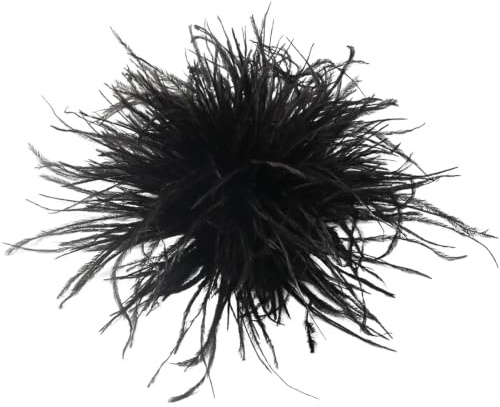 Dryxog Autruche Feather Brooch Broche Femme Vetement, Vintage en Cristal Lady Queen, Délicats Brooch Longueur pour Femmes et Filles Broche de Fête d'Écharpe de Fête Corsage