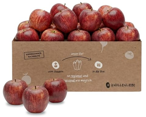 Apfelbox Gala Royal – 7 kg frische Äpfel direkt vom Obsthof | süß, knackig & aromatisch | regional, plastikfrei & nachhaltig | Saftiger Apfel | Versand immer Dienstag