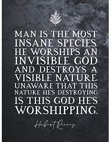 Artery8 Slate Quote Hubert Reeves Invisible God Visible Nature Large XL Wall Art Canvas Print Zitat Natur Wand