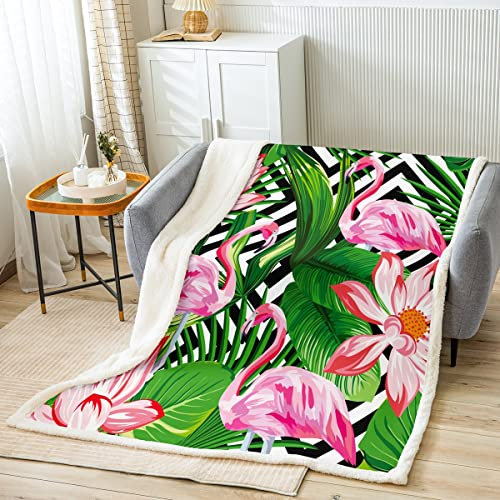 Rosa Flamingo Fleece Decke für Mädchen Kinder Palm Tree Leaves Decke 130x150 Tropical Botanical Animal Print Sherpa Decke Schwarze Streifen Flanell Decke für Bettsofa Couch