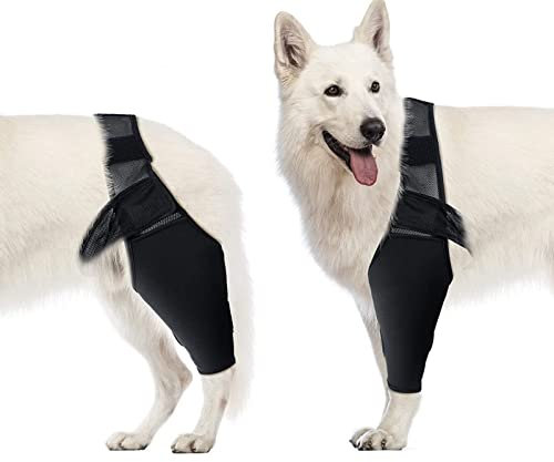 Luqeeg Ellenbogenbandage für Hunde, Ellenbogenbandage, Kompressionsbandage, Kniebandage für Hunde, Ellenbogen- und Schulterstütze, Dysplasie, Arthritis, Ellenbogenschwielen, Druckgeschwüre(L)