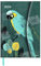 Birds 2024 - Diary - Buchkalender - Taschenkalender - 16x22: Magneto Diary