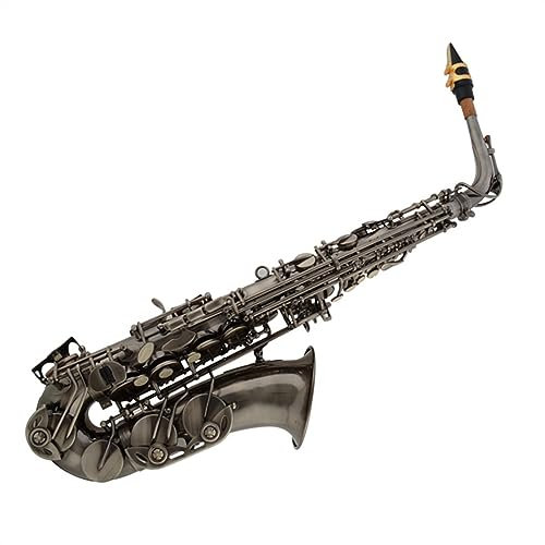 Altsaxophon-Messingkorpus Mit Antiksilberner Oberfläche, Es-Saxofon-Instrumente Mit Koffer Und Mundstück Saxophone für Anfänger