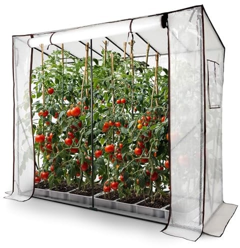Arebos Tomatengewächshaus Foliengewächshaus mit 2 Belüftungsfenster | Gewächshaus groß | Tomatenhaus, Treibhaus mit Tür zum Aufrollen | 200x77x170 cm Frühbeet, Gemüse, Blumen, Obst | Gewächshausfolie
