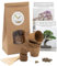 Bonsai Kit incl. eBook GRATUITO - Starter Set con vasi di cocco, semi e terra - idea regalo sostenibile per gli amanti delle piante (Wisteria + Pino Australiano)