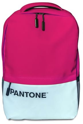 Celly Pantone Zaino Porta PC 15.6, Zaino Uomo e Donna con USB Ricarica, Comparti Protettivi, Comodo e Capiente per Lavoro, Viaggio e Scuola, Rosa