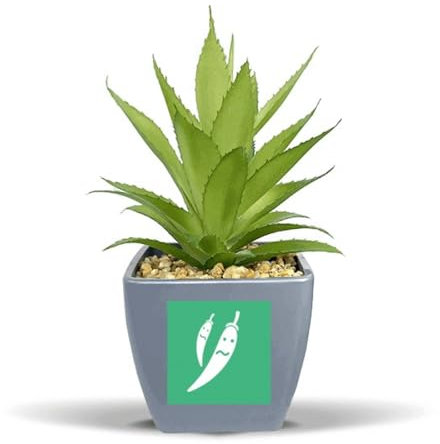 no/no Pflanzlicher Ausdruck Peinliche Chili Körper Künstliche Ananas Blumentopf Vase Mini Dekor