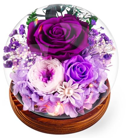 Touloube Dandelion in a Glass Gift Ideas for Women, for Women, Birthday Gifts for Girlfriends, Sisters, Teachers, Mamme, Grandmas, Wish-Fulfilling Gift, Enencouragement for Her