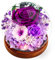 Touloube Dandelion in a Glass Gift Ideas for Women, for Women, Birthday Gifts for Girlfriends, Sisters, Teachers, Mamme, Grandmas, Wish-Fulfilling Gift, Enencouragement for Her