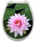 SHIRT-TO-GO Aufkleber für Toilettensitz - Lotusblume, Rosa, Floral, Vinyl, Kratzfest, WC Sitz-Aufkleber