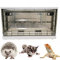 Tragbarer Igelkäfig mit Rädern und Griffen, zusammenklappbarer Hamsterkäfig aus Kunststoff, Rattenhaus, für drinnen und draußen, kleine Kriechtiere, Reisebox für Igel, Hamster, Ratten, Bartdrache