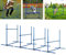 LZQ Agility Ausrüstungs Set für Hunde, Agility Hürdenset inkl. 4 x Hürden Höhenverstellbar, Haustier Trainingsset Hindernisse Hunde Training Set Slalom Stangen mit Tragetasche, 104x70x101 cm, Blau