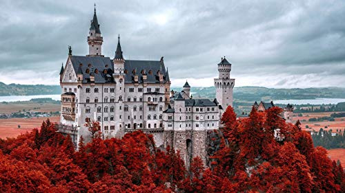 luxiaoge6 3D Diamond Painting Schloss Neuschwanstein Diamantmalerei Sets Für Erwachsene