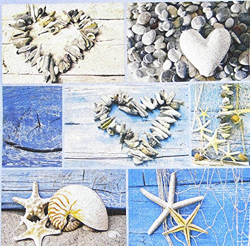 osters muschel-sammler-shop Servietten/Zellstoffservietten/Maritime Muster-Motiv / 33x33cm / 20 Stück-Packung (Muscheln)