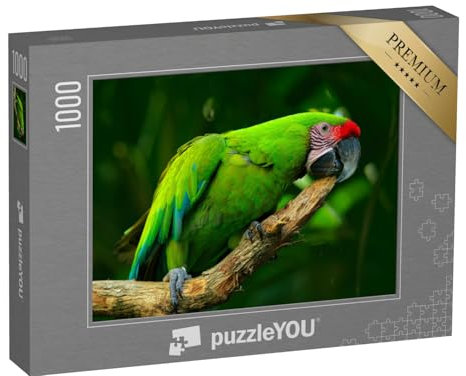puzzleYOU: Puzzle 1000 Teile „Großer Grüner Ara, seltener Vogel aus Costa Rica“ – aus der Puzzle-Kollektion Vögel, Papagei, Tiere in Dschungel & Regenwald