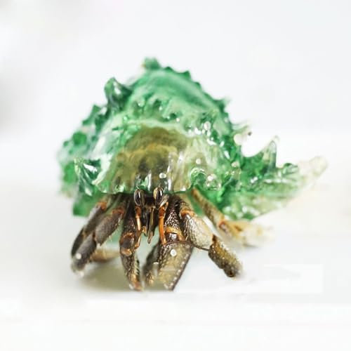 COYOUCO Hermit Crab Shell - Conque en Cristal Transparent, Verre De Résine d'impression 3D, pour Bernard-L'Ermite,B