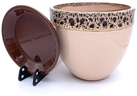 Sun Cakes Pot de fleurs en céramique émaillée avec soucoupe, pour plantes succulentes et orchidées, Céramique, Orange, 26cm x 22cm