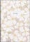 rido/idé Baier & Schneider rido/idé 7018307021 Tageskalender/Taschenkalender Modell 2021 Technik III Fiori, Grafik-Einband