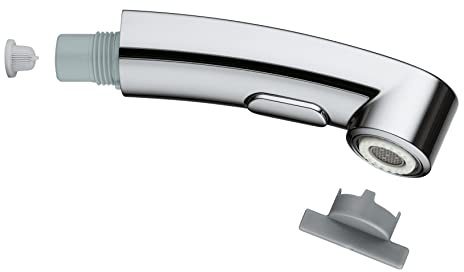Douchette de rechange GROHE Dual, chromée