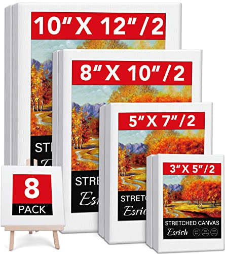 Gespannte Leinwände zum Malen, 8 Stück Multipack Leinwand 7.6x12.7 cm, 12.7x25.4 cm, 25.4x30.5 cm, säurefreie Holzrahmen, leere Leinwand, Ölgemälde, Tempera Geländer.