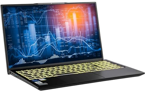 Captiva Notebook Power Starter I76-111 I Intel Core i5 1340P I 16GB DDR5 RAM I Intel iris Xe Graphics I 500GB M.2 SSD I ohne Betriebssystem | Laptop I matt I WLAN I 17,3