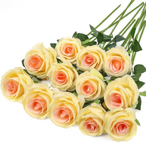 Hywean Homd 12 Stück Champagner-Künstliche Rosen, 18,89 Zoll, Frische und Einfache Kunstrosen mit Einem Langen Stiel, Fake Rosen für Hochzeit, Heimtisch, Garten, Hotel, Bürodekoration
