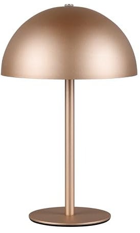 Reality Leuchten LED Akku Tischleuchte Munoz R54891165, Metall Coffee, inkl. 1.3 Watt LED, 4-fach Touch