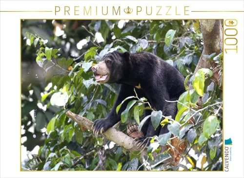 CALVENDO Puzzle Malaienbär auf dem Kletterbaum | 1000 Teile Lege-Größe 64 x 48 cm Foto-Puzzle für glückliche Stunden