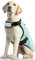 Kühlweste für Große Hunde, Hunde Kühlmantel Einstellbare Kühlung Hund Jacke Saugfähige & kühle Hundeweste für Sport heißes Wetter Sommer Dog Cooling Vest Coat(Grün, XL)