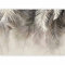 murando PREMIUM Fotomurales hojas tropicales 350x256 cm Papel pintado tejido no tejido Decoración de Pared decorativos Murales moderna de Diseno Fotográfico Pasillo Oficina Naturaleza c-C-10088-a-a