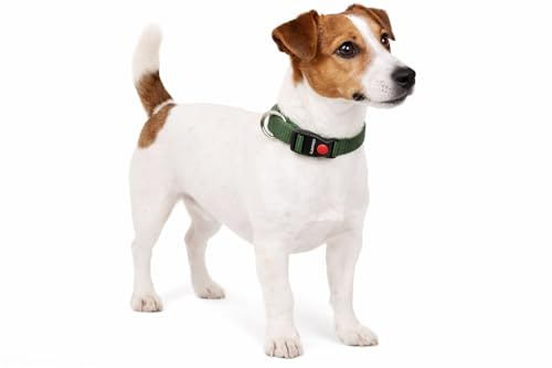 Halsband Hund - ziggi kaki - größe S - 30-45 cm x 15 mm - Nylon hundehalsband verstellbar mit metallring