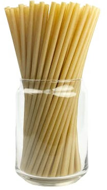 ONE ORGANIC Kompostierbare Zuckerrohr-Trinkhalme, 20,3 cm, 100 Stück
