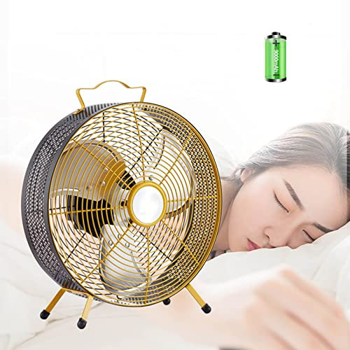 MZQMK Rechargeable Powered High Velocity Portable Fan,Quiet Camping Fan,With Low Noise Indoor & Outdoor Home, Gym, Office, Garage (Size : 10)