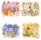 Blumen Aufkleber Set 160 Stück Transparente Blumen Sticker Aquarell Pflanze Aufkleber Vintage Bastelaufkleber Wasserdicht Blumenaufkleber für Scrapbooking DIY Handwerk Karte Handyhülle