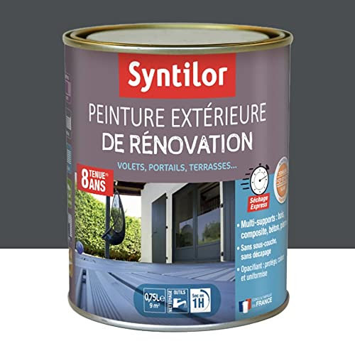 Syntilor - Rénovation Extérieure Terrasses, Volets, Portails Tenue 8 ans* Gris Anthracite 0,75L