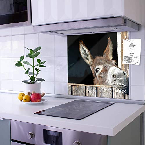 banjado Küchenrückwand Glas ohne Bohren 50x50cm – Glasrückwand Küche mit Motiv Nicki/Spritzschutz Küchenrückwand Glas/selbstklebende Küchenrückwand Platte - magnetisch & beschreibbar