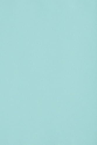 Netuno 50 x Tonkarton DIN A3 297x 420 mm Hellblau 250g Burano Azzurro Bastelkarton einfarbig Fotokarton A3 bunt durchgefärbt Feinpapier DIY Bogen Kreativ-Karton farbig buntes Tonpapier