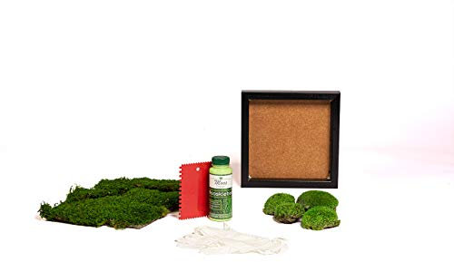 DIY Moosbild selber machen, Wandbilder selber kleben, Moosbilder selbst gestalten Do it yourself Set Moos kleben Wanddeko selbst herstellen Wandbild Komplett-Set Holzrahmen (schwarz, 25 x 25 cm)