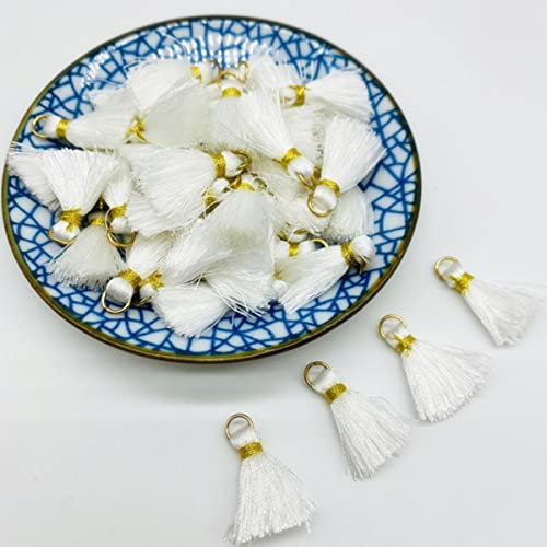 10 stücke 28mm Leder Quasten Fransen Trim Für Nähen Vorhänge Zubehör DIY Schlüsselanhänger Handy Riemen Anhänger Schmuck-01