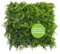 CREATIV green künstliche Farn-Matte 50 x 50 x 7cm I UV-beständige Deko Pflanze mit naturgetreuen Blättern I künstlicher Farn wie echt I Deko Pflanzen künstlich ideal als Wand Dekoration