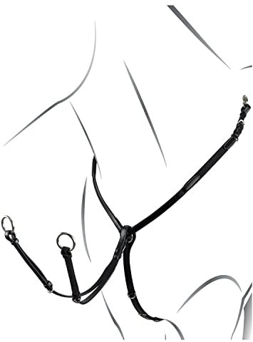 Equestro Brustgeschirr und Martingal Modell Nolwenn Pony, braun