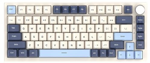 xbiez Gaming Mechanical Keyboard RGB Backlits 82 Key Corded Office Keyboard Programmable Keyboard For Computer Laptops 82 Key Keyboard Office Keyboard Lightweight Keyboard Space Saving Keyboard
