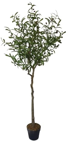 Premium Artificial Olive Tree 170cm Tall - Realistic, Elegant, Chic and Stylish, Indoor Décor Home Office Events Wedding